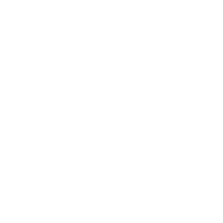 icon Industrial Consulting Services